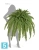 Искусственный Папоротник Бостон Новый Лардж свисающий TREEZ Collection 125-h