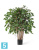 Фикус искусственный TREEZ Collection Бенджамина карликовый многоствольный 100h Фикус искусственный TREEZ Collection Бенджамина карликовый многоствольный 100h
