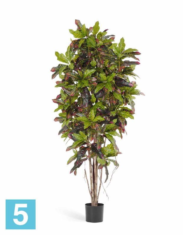 Кротон искусственный TREEZ Collection 180h