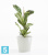 Напольное кашпо Ecopots Venice с поддоном, светло-серое 30-d, 26-h