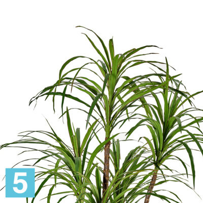 Драцена Маргината искусственная TREEZ Collection 150h в #REGION_NAME_DECLINE_PP#