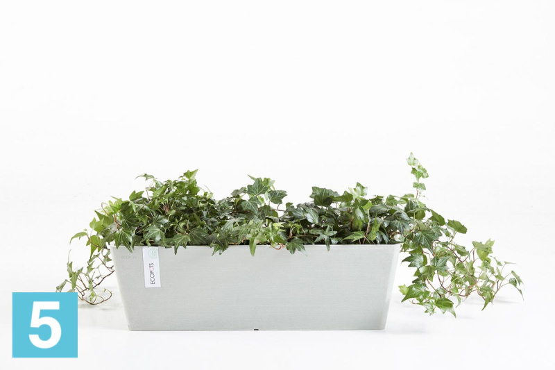 Прямоугольное кашпо Ecopots Bruges с креплением, светло-серое 55-l, 20-w, 21-h