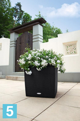 Кашпо с автополивом Lechuza Cube Cottage, гранит 50-l, 50-w, 50-h