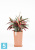Высокое кашпо Ecopots Rotterdam-MH, терракотовое 30-l, 30-w, 50-h