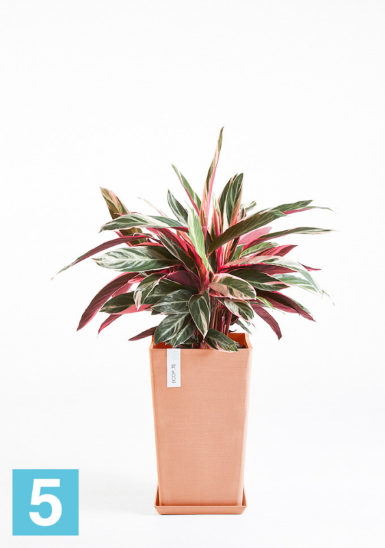Высокое кашпо Ecopots Rotterdam-MH, терракотовое 30-l, 30-w, 50-h