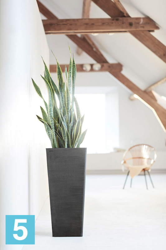 Высокое кашпо Ecopots Rotterdam-MH, антрацит 30-l, 30-w, 50-h