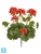Искусственная Герань красная цветущий куст (UV-фильтр) TREEZ Collection 30h