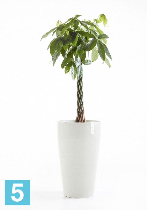 Высокое кашпо Ecopots Sankara-H, светло-серое 45-d, 75-h