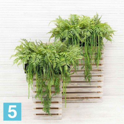 Папоротники искусственные Alseed, h-24 см. с ампельным аспарагусом в кокосовом боксе 45*25*10