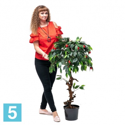 Дерево плодовое Яблоня-мини искусственное Alseed, h-100 см., красная в Москве