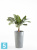 Высокое кашпо Ecopots Amsterdam-MH, серое 30-d, 50-h