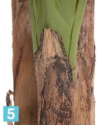 Искусственное банановое дерево (Sensitive Botanic) TREEZ Collection 280h