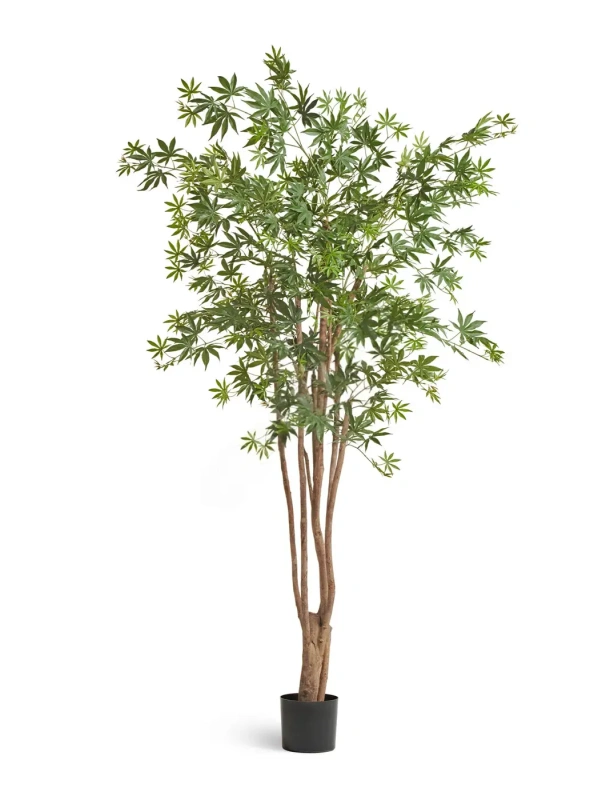 Искусственный клён японский Вайлд зелёный TREEZ Collection 240h