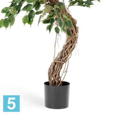 Фикус искусственный TREEZ Collection Бенджамина Коркскрю 210h в #REGION_NAME_DECLINE_PP#