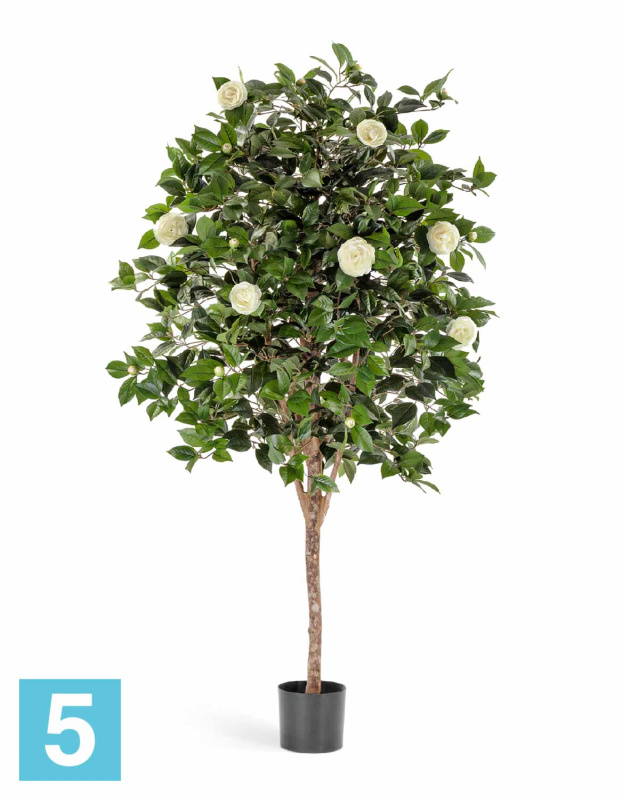 Камелия Вайн искусственная TREEZ Collection кремовая 170h