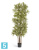 Драцена искусственная TREEZ Collection Рефлекса Золотая 150h Драцена искусственная TREEZ Collection Рефлекса Золотая 150h