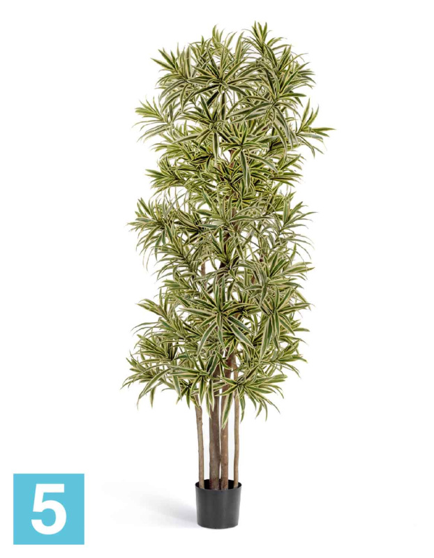 Драцена искусственная TREEZ Collection Рефлекса Золотая 150h