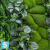 Фитостена с зелеными камнями искусственная Alseed Фитостена с зелеными камнями искусственная Alseed