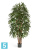Пальма искусственная TREEZ Collection Рапис широколистная 180h