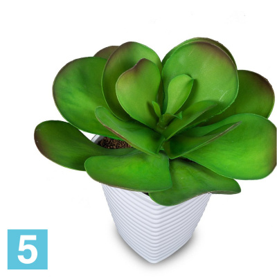 Котиледон искусственный Alseed, d-30 см. в интерьерном кашпо