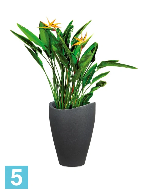 Кашпо Scheurich Wave Globe High, черный гранит 39-d, 54-h