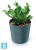 Кашпо Prosperplast FURU Round, зеленое 30-d, 29,4-h