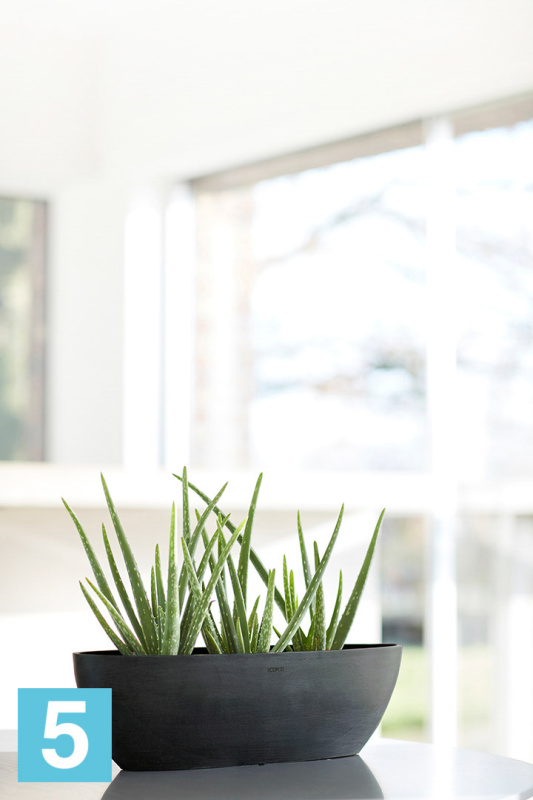 Настольное Кашпо Ecopots Sofia Long, антрацит 30-l, 13-w, 14-h