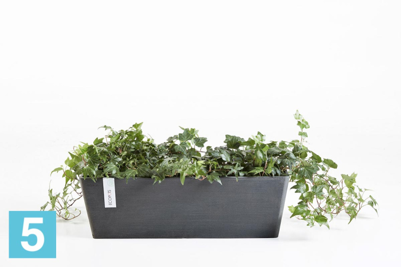 Прямоугольное кашпо Ecopots Bruges, антрацит 65-l, 20-w, 20-h