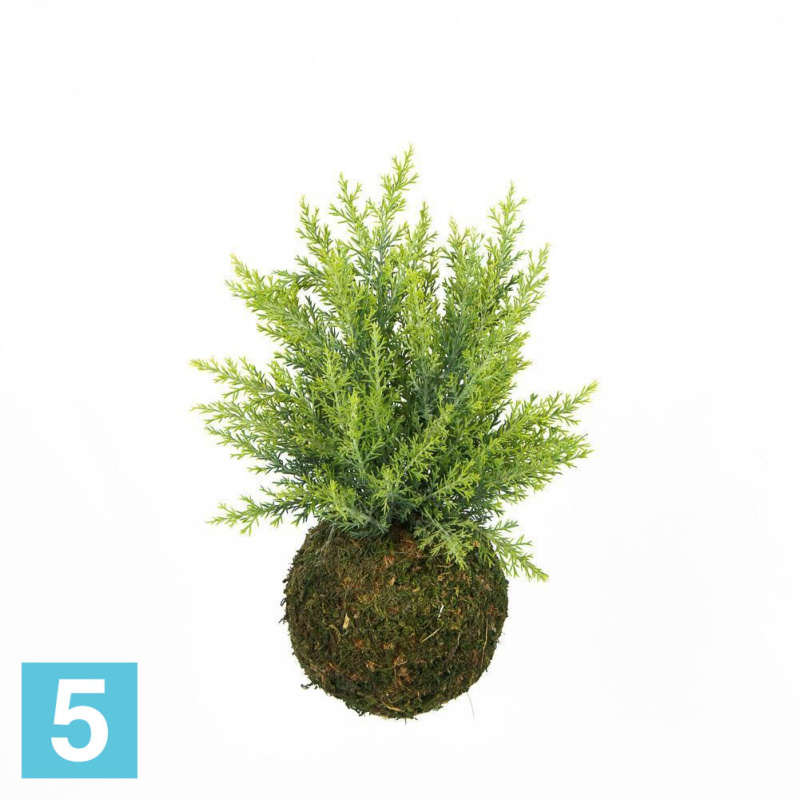 Кокедама искусственная Alseed, d-15 "Туя"