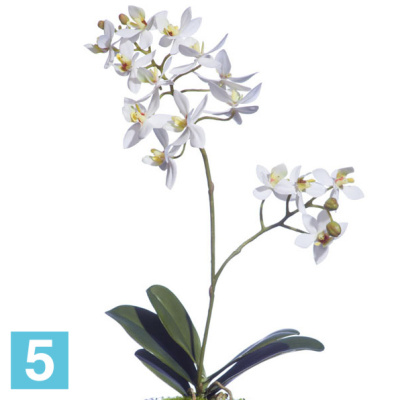 Композиция из искусственных цветов Орхидея Мини-Фаленопсис в стеклянной вазочке с мхом, корнями, землей TREEZ Collection в #REGION_NAME_DECLINE_PP#