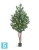 Искуственный Эвкалипт серебристый многоствольный TREEZ Collection 200h