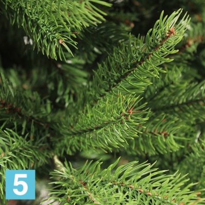 Искусственная елка Royal Christmas зеленая Georgia Premium, Литая + ПВХ, 180-h в #REGION_NAME_DECLINE_PP#