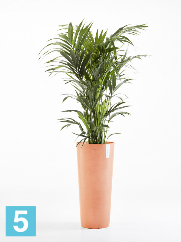 Высокое кашпо Ecopots Amsterdam-H, терракотовое 32-d, 70-h