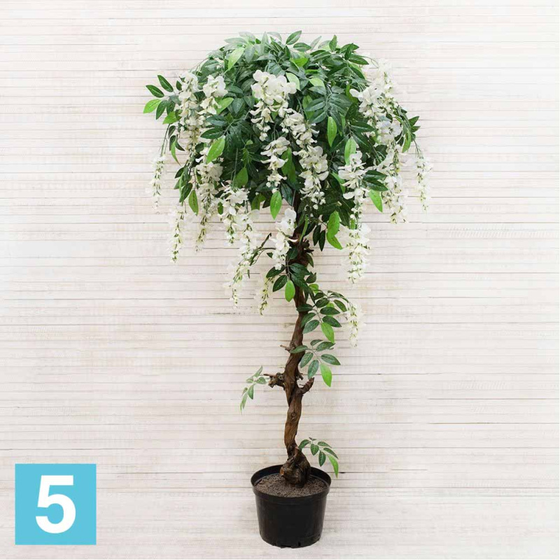 Глициния искусственная Alseed, вистерия, белая, h-160 см.