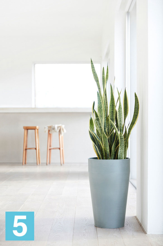 Высокое кашпо Ecopots Sankara-H, серо-голубое 45-d, 75-h