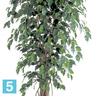 Фикус искусственный TREEZ Collection Бенджамина Лиана 180h в #REGION_NAME_DECLINE_PP#