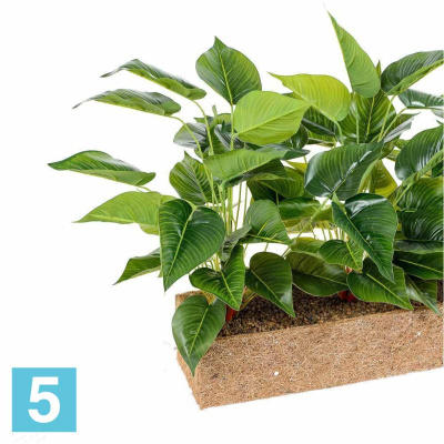 Сциндапсус искусственный Alseed, h-35 см. в кокосовом боксе, латекс, 50*10*10
