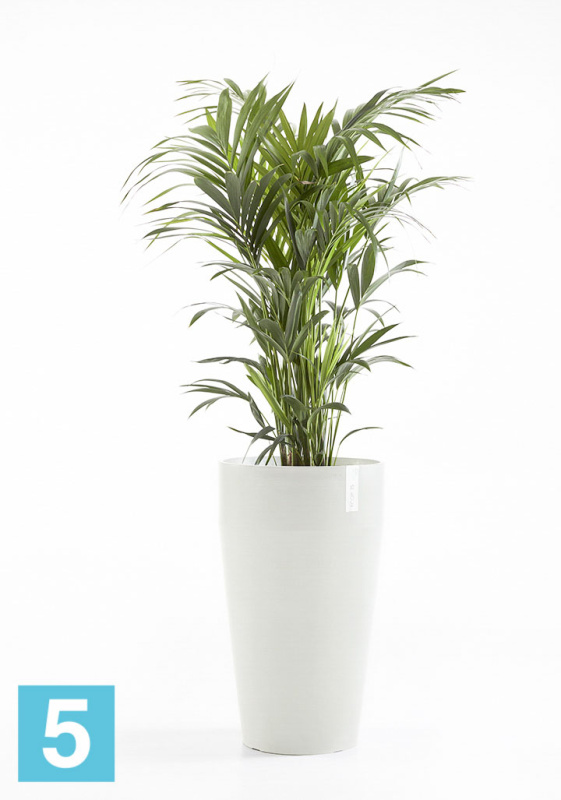 Высокое кашпо Ecopots Sankara-H, светло-серое 45-d, 75-h