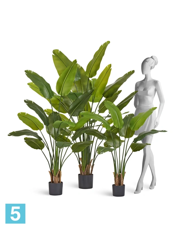 Искуственная стрелиция New Style с UV-защитой (Sensitive Botanic) TREEZ Collection 160h