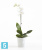 Настольное Кашпо Ecopots Morinda, светло-серое 14-d, 16-h