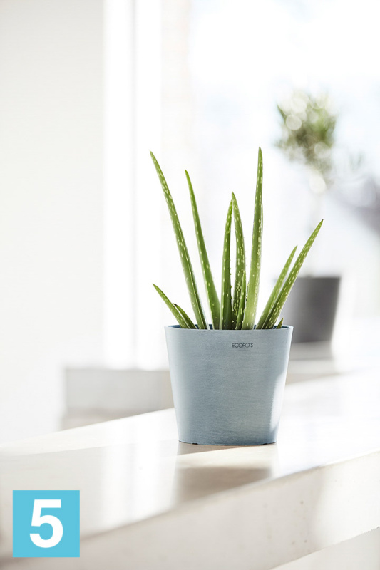 Настольное Кашпо Ecopots Amsterdam, серо-голубое 20-d, 18-h