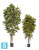 Кротон искусственный TREEZ Collection 180h
