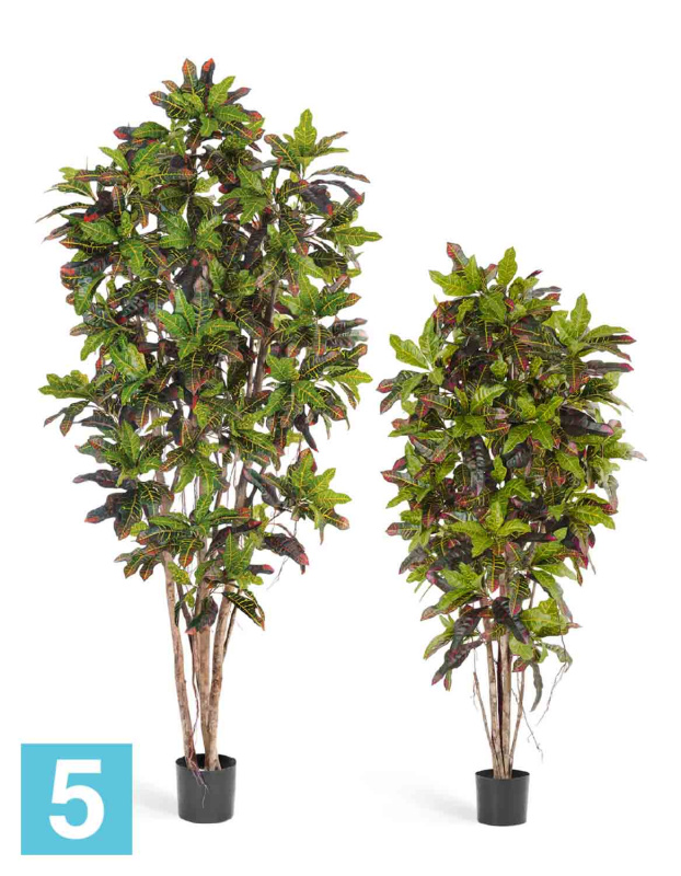 Кротон искусственный TREEZ Collection 180h