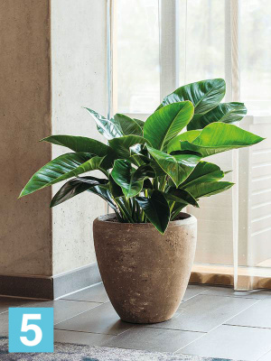 Кашпо Polystone plain couple, каменное d-24 h-24 см