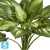 Хоста бело-зеленая искусственная большая TREEZ Collection