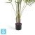 Пальма искусственная TREEZ Collection Арека Новая 190h