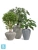 Кашпо TREEZ Effectory Moho Высокий Design-конус, белый песок 66-d, 85-h