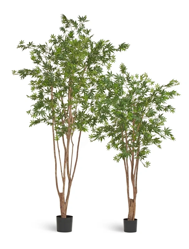 Искусственный клён японский Вайлд зелёный TREEZ Collection 240h