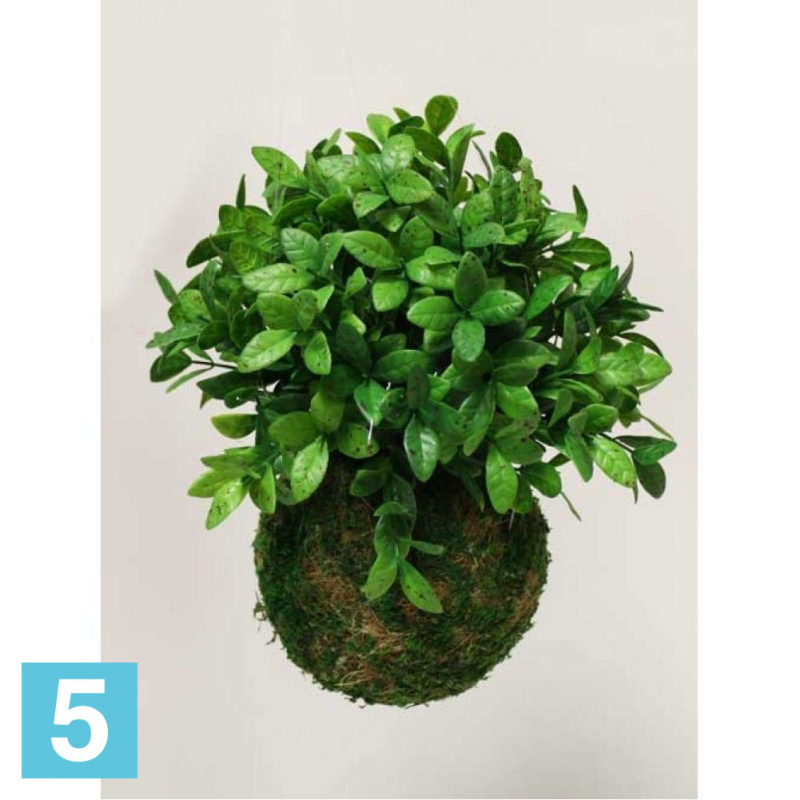Кокедама искусственная Alseed, d-15 "Черничник"