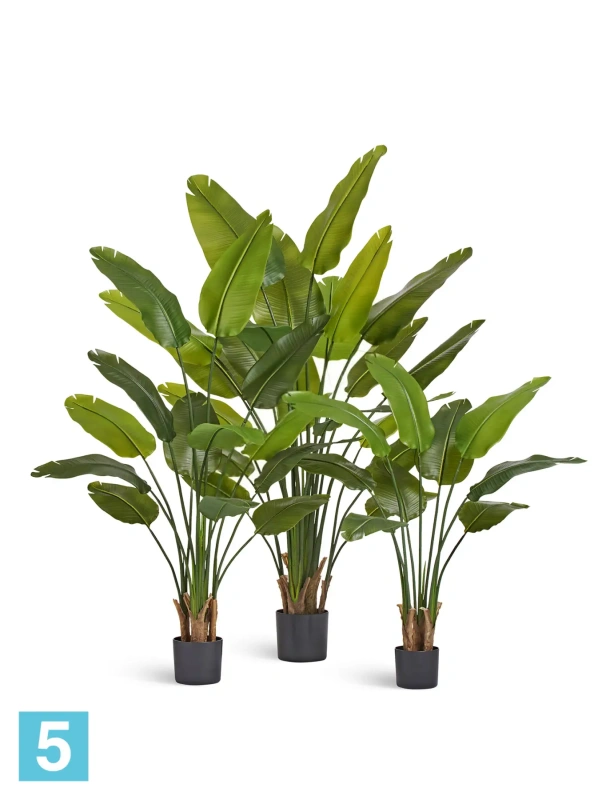Искуственная стрелиция New Style с UV-защитой (Sensitive Botanic) TREEZ Collection 180h